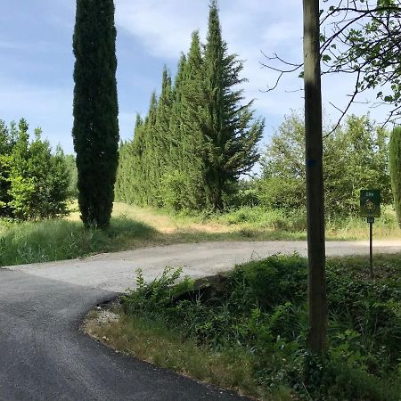 Вилла Le Jardin D'Erables St Remy 7 Ha Piscine/Clim Paluds de Noves Экстерьер фото