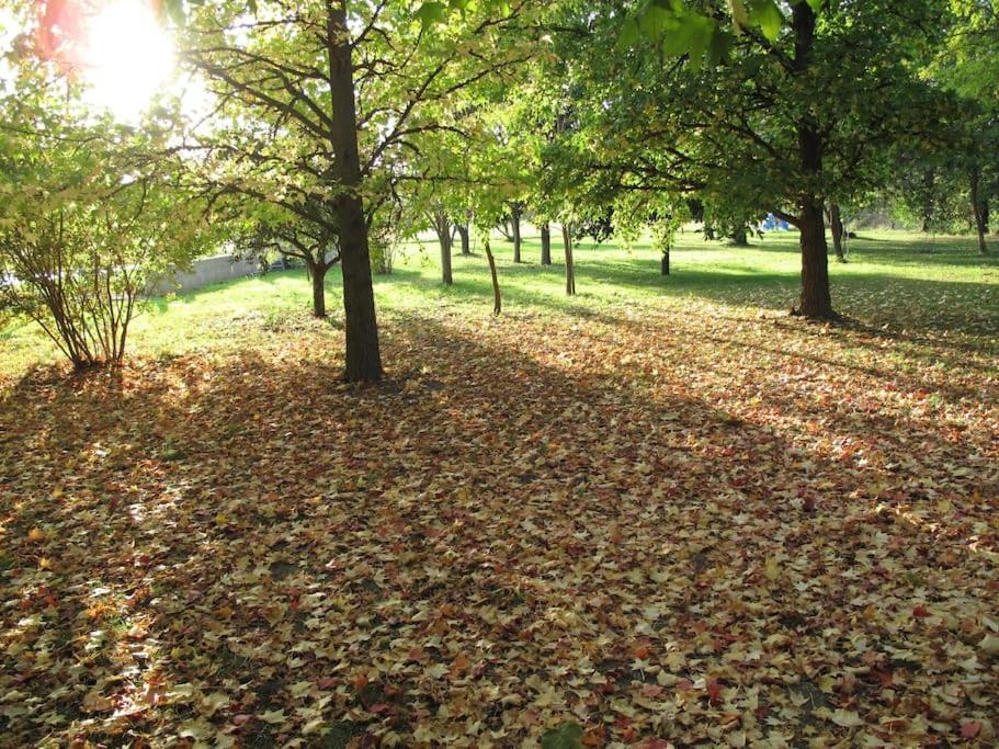 Вилла Le Jardin D'Erables St Remy 7 Ha Piscine/Clim Paluds de Noves Экстерьер фото